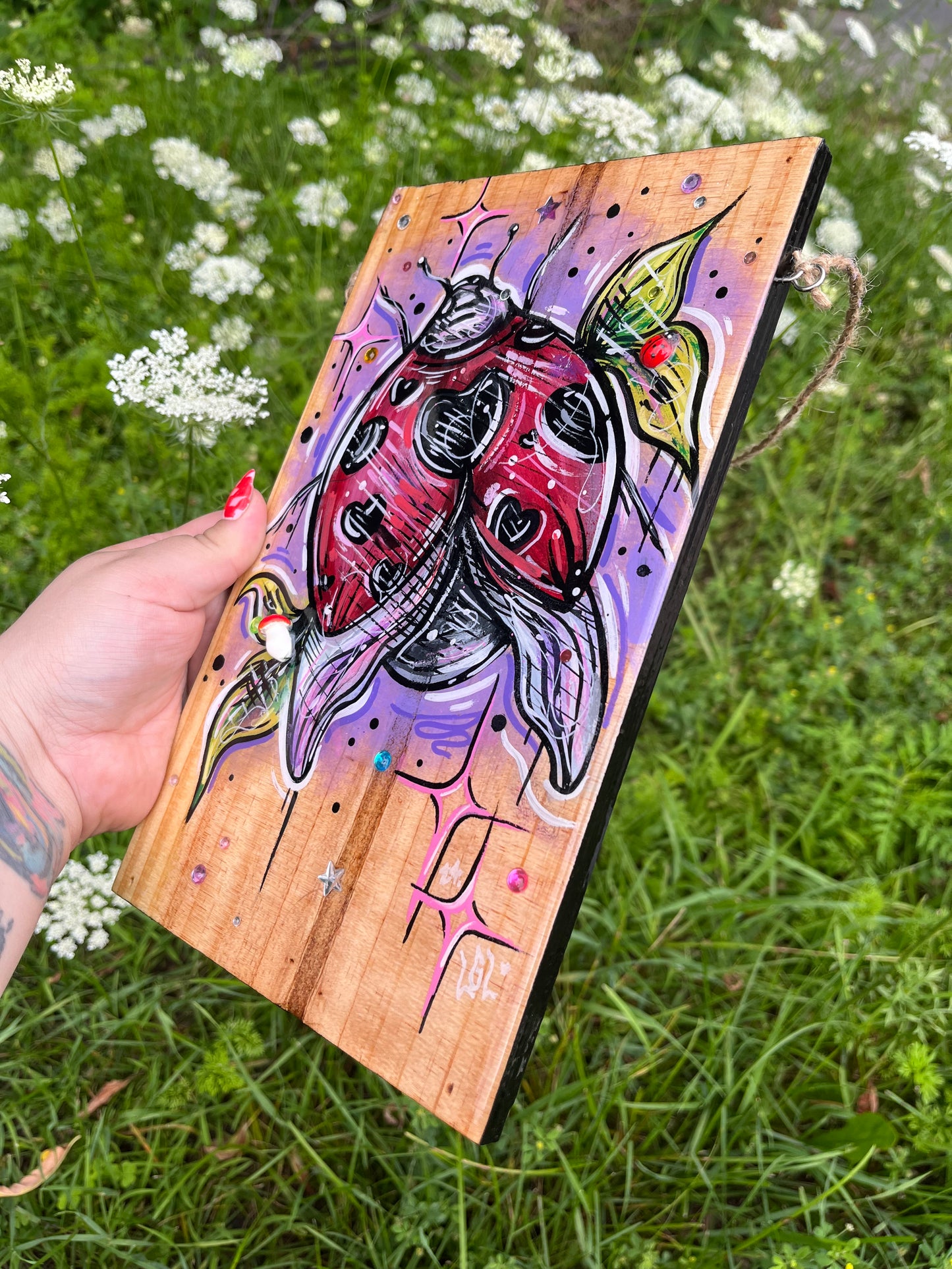 Coccinelle 🩷✨🌱🐞