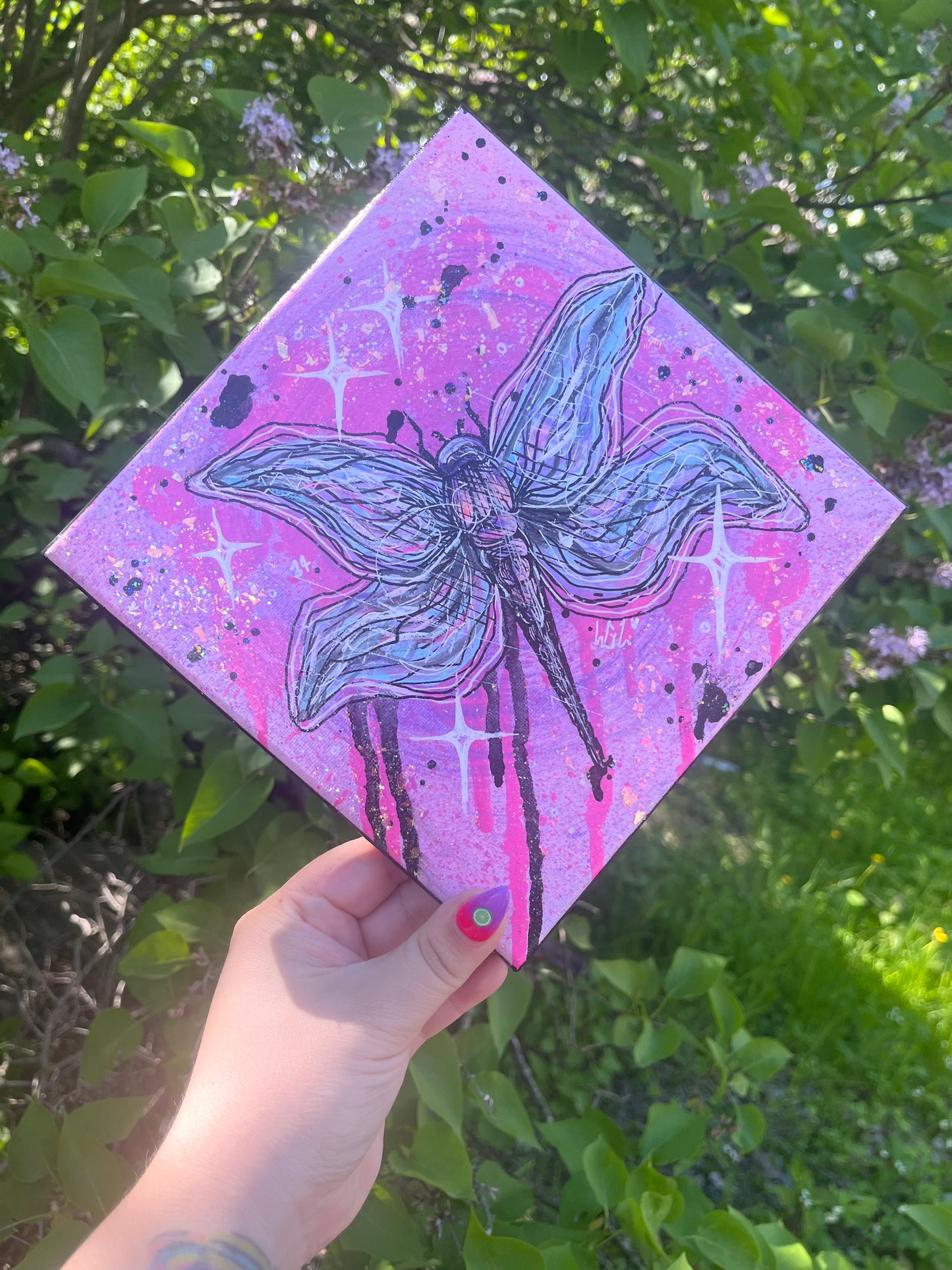 Libellule🦋💕✨