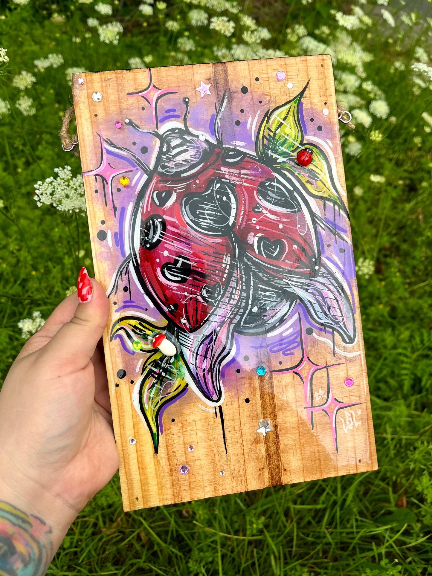 Coccinelle 🩷✨🌱🐞